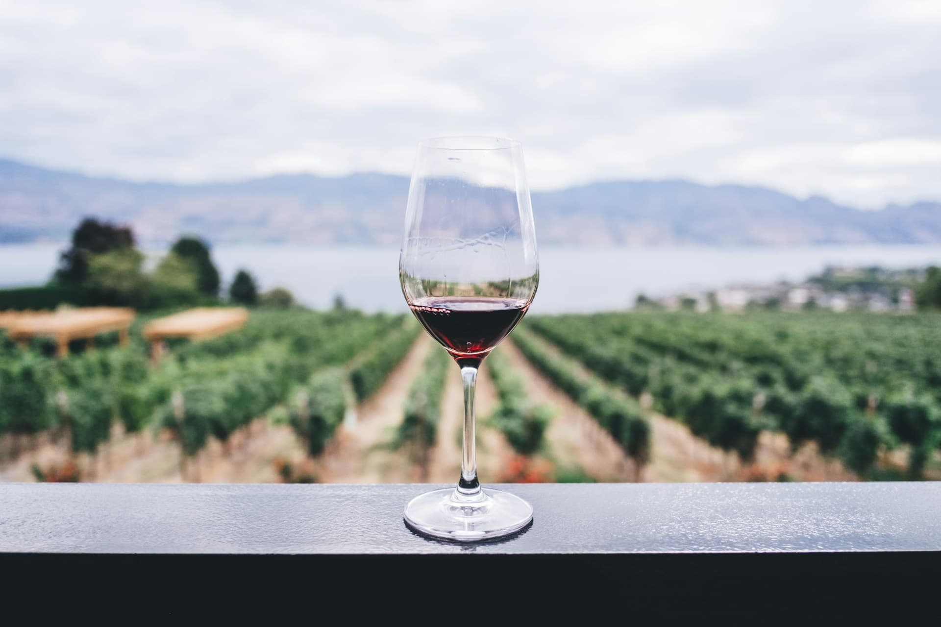 Rows of wine glasses on a table in warm, low evening light
